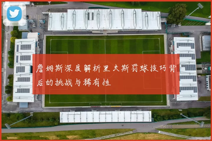 詹姆斯深度解析里夫斯罚球技巧背后的挑战与稀有性